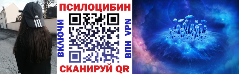 купить наркоту  Ахтырский  Псилоцибиновые грибы мухоморы 